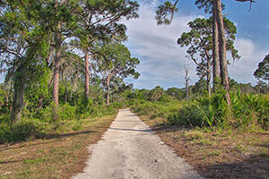 Boyd Hill Nature Reserve