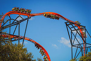 busch gardens Tampa