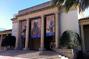 The Museum of Fine Arts in florida