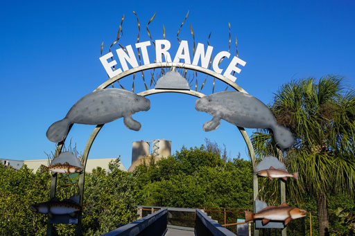 manatee viewing center in apollo beach