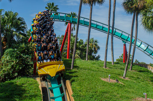 rollercoaster in busch gardens tampa, florida