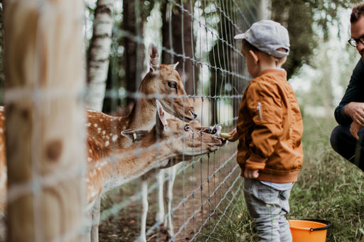 animal reserve in balm