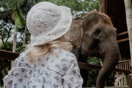ideal trip plan for children in zootampa, florida