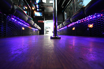 tampa party bus rental