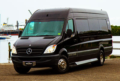 small sized party buses and mini buses