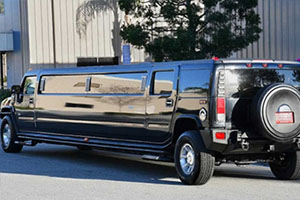 bloomingdale bus limo and prom limo services.